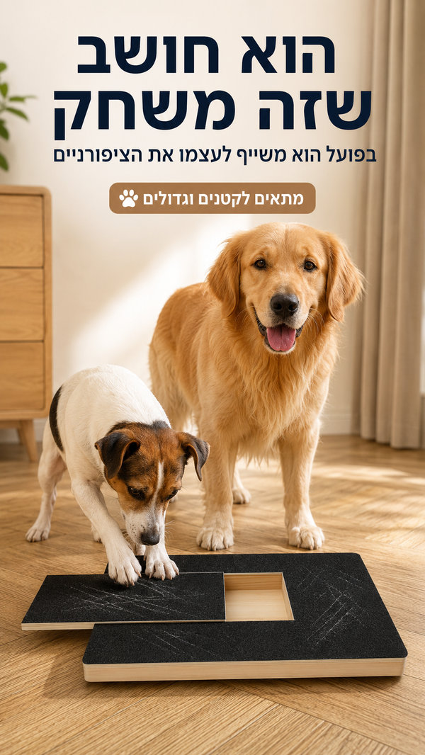 משטח גירוד לכלבים